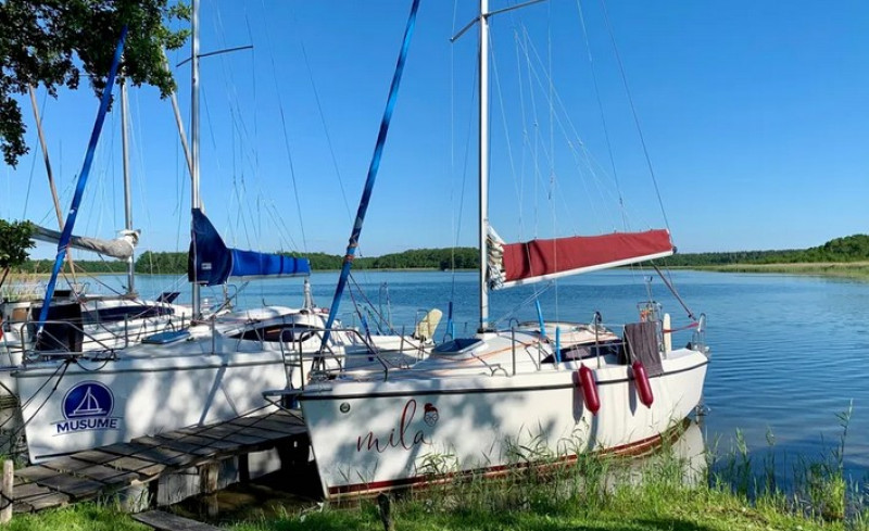 Sasanka 660 Supernova